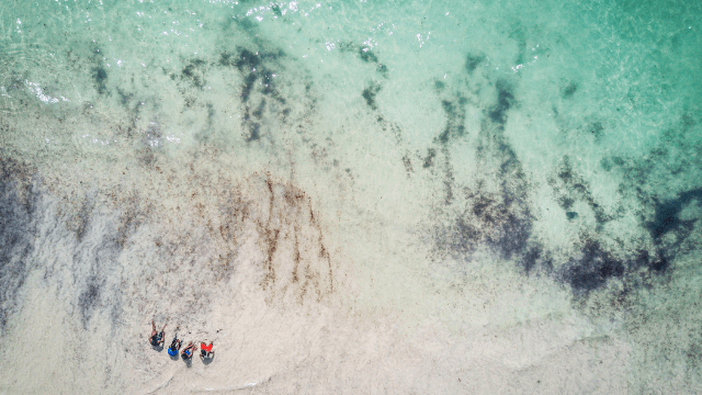 yoga-somalia-therapy