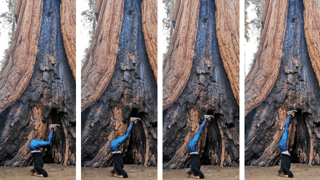 posizioni-capovolte-yoga