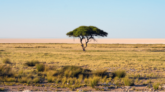 regali-yoga-san-valentino