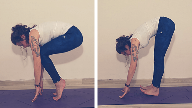 talloni-terra-cane-giù